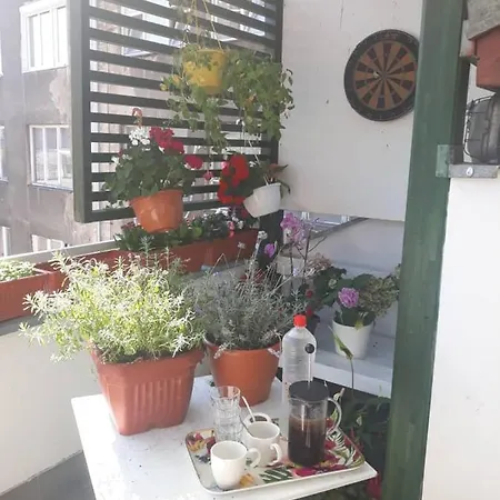 Park Gallery Sarajevo