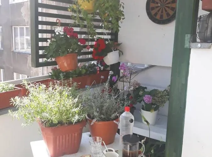 Park Gallery Sarajevo